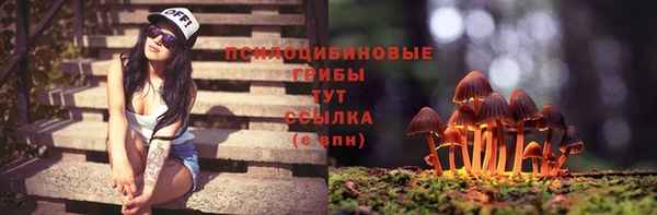 таблы Алзамай