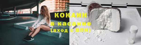 хмурый Абаза