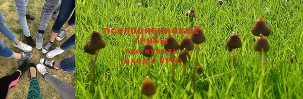 таблы Алзамай