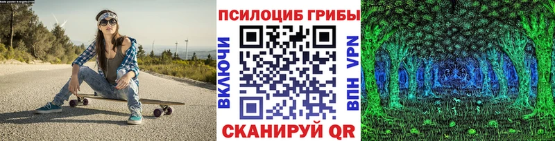 Псилоцибиновые грибы Psilocybe Луга